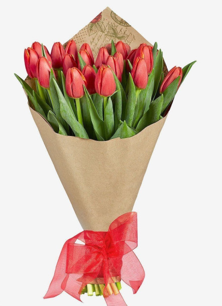 25 crvenih tulipana