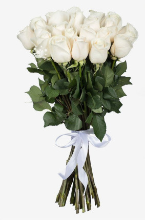 Bijele ruže Image