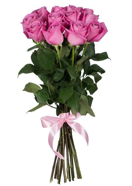 Premium ružičaste ruže
