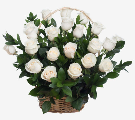 Košarica s bijelim ružama