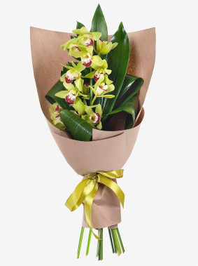 Šarmantna orhideja Image
