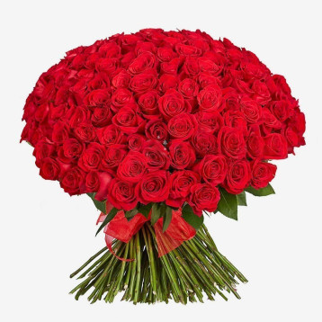 150 crvenih ruža