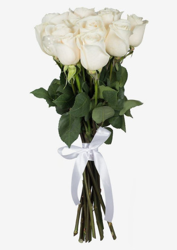 11 bijelih ruža